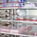 Jak wybrać odpowiedni inkubator laboratoryjny?