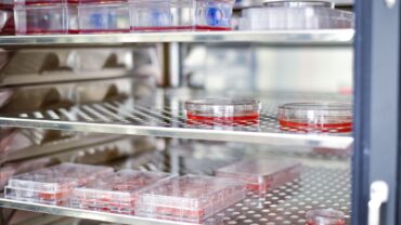 Jak wybrać odpowiedni inkubator laboratoryjny?